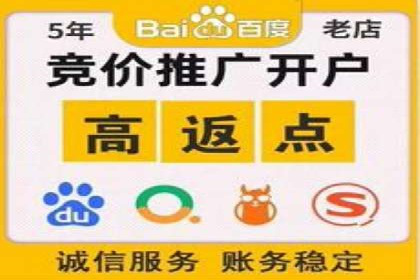 百度竞价策略解析：案例分析及优化建议